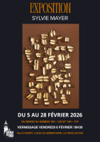 Sylvie Mayer - grau du roi