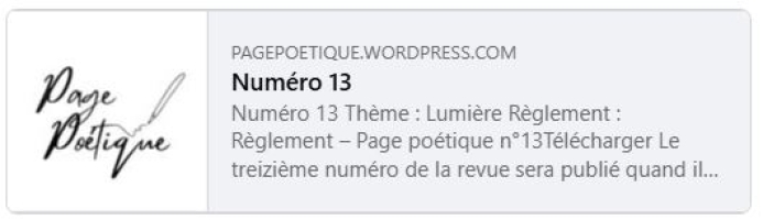 Revue Page poétique Appel à textes - Page poétique n°13