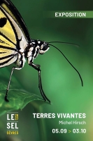 Terres Vivantes – Le Sel – Sèvres