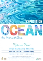 Exposition dOcéan de Merveilles -Tiphanie Fiévet - Atelier Legault - Ombrée d'Anjou