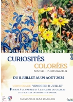 Curiosités colorées, peinture et photographie - La Gabare Gauriac