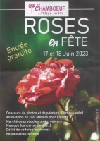 Roses en fête.