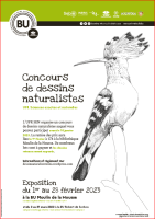 Concours de dessins naturalistes 2023