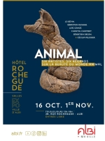 🐗 ANIMAL – Hôtel Rochegude – Albi