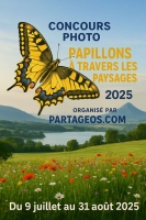 🌿 Concours Photo 2025 – Papillons à travers les paysages de France 🦋
