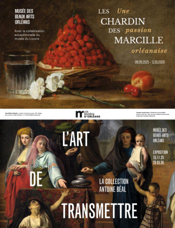 Musée des beaux arts - Orléans