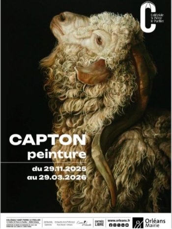 C A P T O N - La Collégiale Saint Pierre le Puellier - Orléans