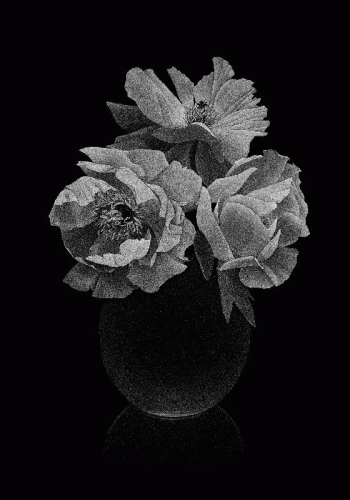 Pierre-Joseph Redouté, Thilo Westermann : Roses & Pivoines - Musée National des Châteaux de Malmaison et de Bois-Préau 1 avenue du Château, 92500 Rueil-Malmaison