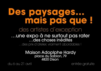 Des paysages mais pas que...