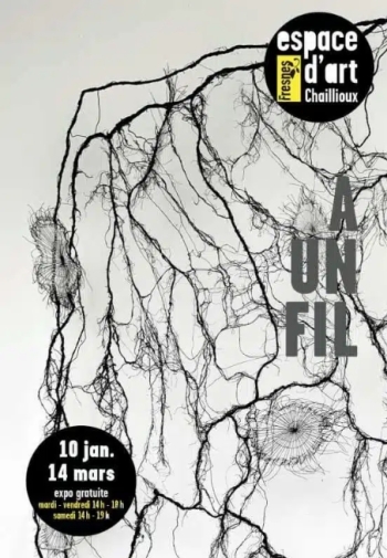 À un fil - Espace d'art Chaillioux