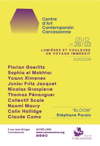 Lumières et couleurs : Un voyage immersif - Carcassonne