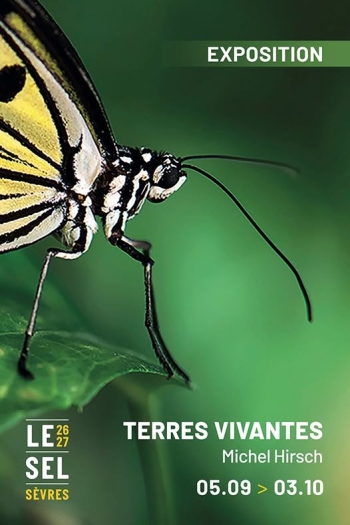 Terres Vivantes – Le Sel – Sèvres