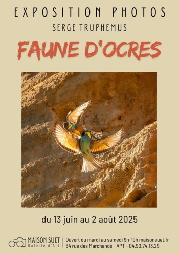 Faunes d'Ocres - Photographies animalières exceptionnelles - Serge TRUPHEMUS - Apt