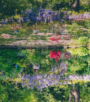 Virtuelle - Les jardins de Claude Monet