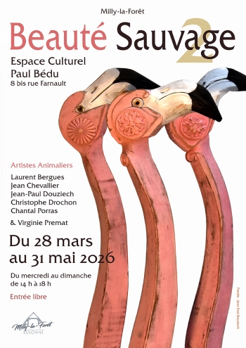 Beauté sauvage - Milly-la-Forêt