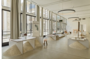 Exposition – Aléas, pratiques de l’adaptation