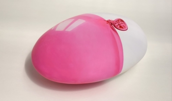 Natures Molles - France Bizot Backslash Gallery - Paris 3e