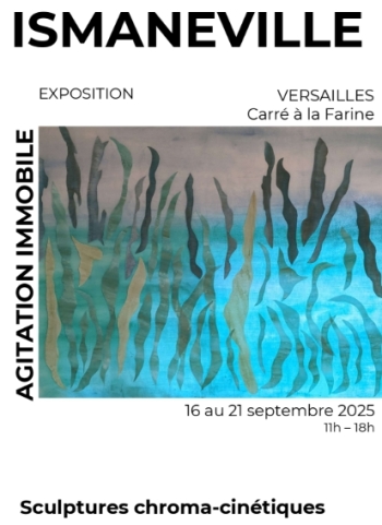 Agitation immobile - Versailles