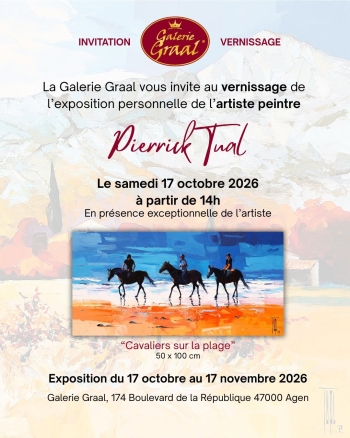 Pierrick Tual, exposition personnelle à Agen