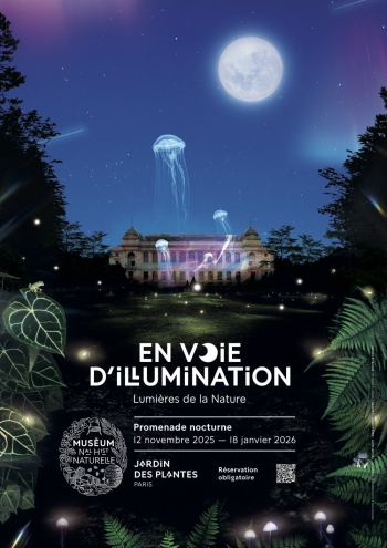 En voie d'illumination - Lumières de la Nature Jardin des Plantes - Muséum national d'Histoire naturelle - Paris 5e