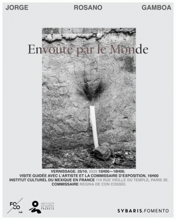 Envoûté par le monde - Jorge Rosano Gamboa - Institut culturel du Mexique - Paris 3e