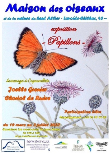 Exposition " papillons " de Joelle Grenier Choriol de Ruère