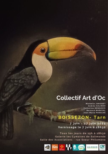 collectif Arts d'Oc 2024