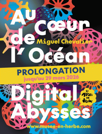 Miguel Chevalier, Digital Abysses - Musée en Herbe - Paris 1er