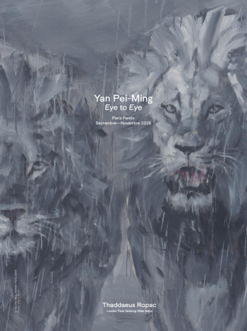 Yan Pei-Ming - Eye to eye - galerie Thaddaeus Ropac - Paris Pantin