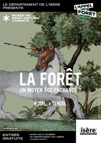 LA FORET Un moyen age enchanté ?
