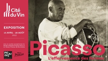 "Picasso, l'effervescence des formes"
