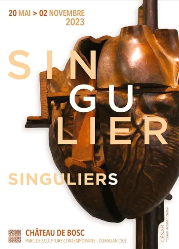 Singulier Singuliers