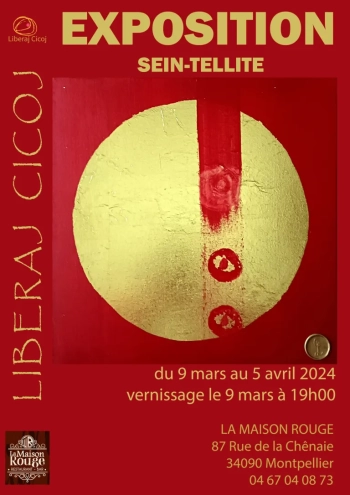 Liberaj Cicoj, "Sein-Tellite"