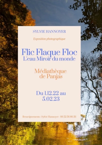 Sylvie Hannoyer, Flic Flaque Floc