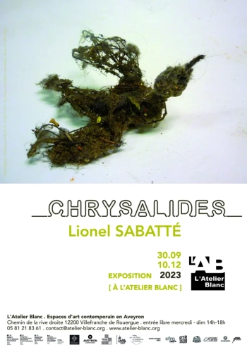 Lionel Sabatté, Chrysalides