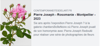 Pierre Joseph, Rosomanie
