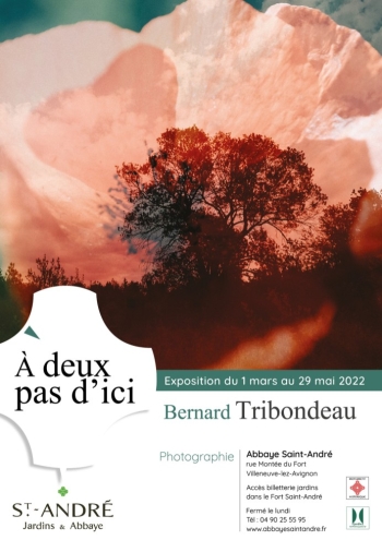 Bernard Tribondeau, A deux pas d'ici