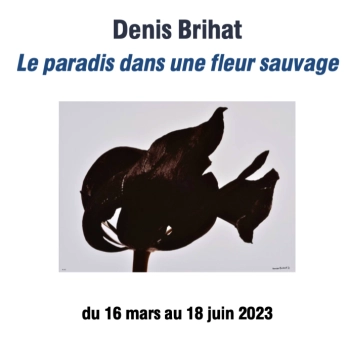 Denis Brihat, Le paradis dans une fleur sauvage