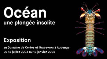 « Océan, une plongée insolite » 2024