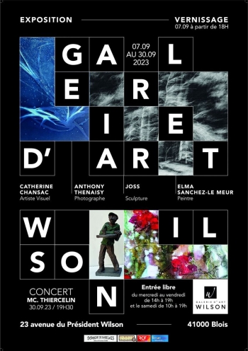 Expo Galerie Wilson
