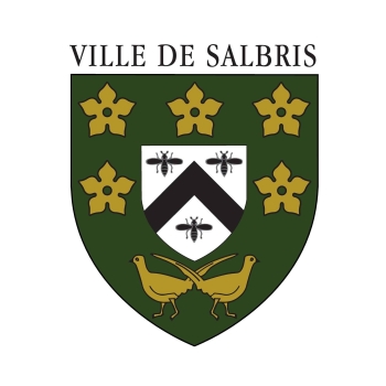 Ville de Salbris