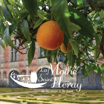 Clementine Delamothe