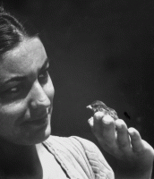 Annette Messager, Une hirondelle ne fait pas le printemps - Musée de la Chasse et de la Nature - Paris 3e