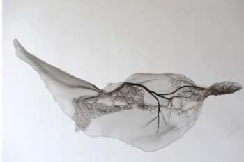 Exposition Anne Laval - Galerie Univer / Colette Colla Paris