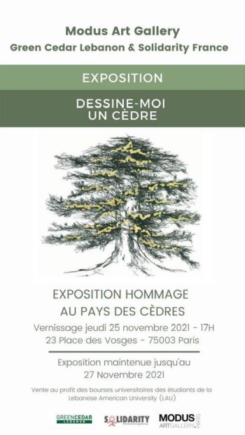 Dessine moi un cèdre