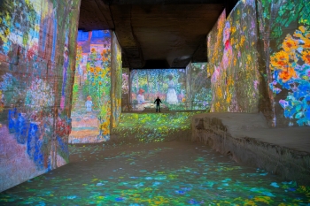 Monet / Rousseau - Carrières des Lumières - Les Baux-de-Provence