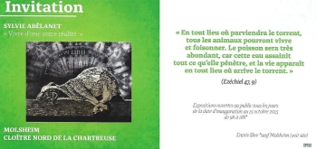 Vivre d'une autre réalité - Molsheim
